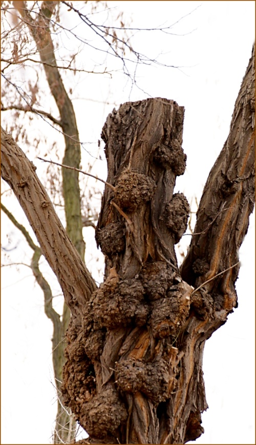 Foto: &copy; Jan Váša